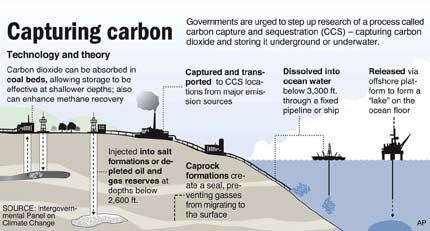 Image result for carbon capture