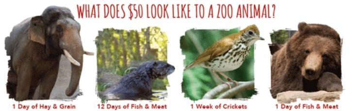 What does $50 look like to a zoo animal? 1 Day of Hay & Grain; 12 Days of Fish & Meat; 1 Week of Crickets; 1 Day of Fish & Meat