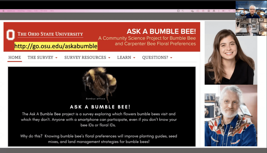 Ask A Bumble Bee website screenshot