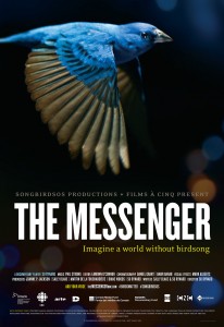 The messenger - bird documentary