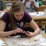 A student prepares a specimen skin. While she prepares she looks it over for any reasons why it could not be made into a full study skin.