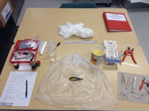 A typical set up for preparing study skins.