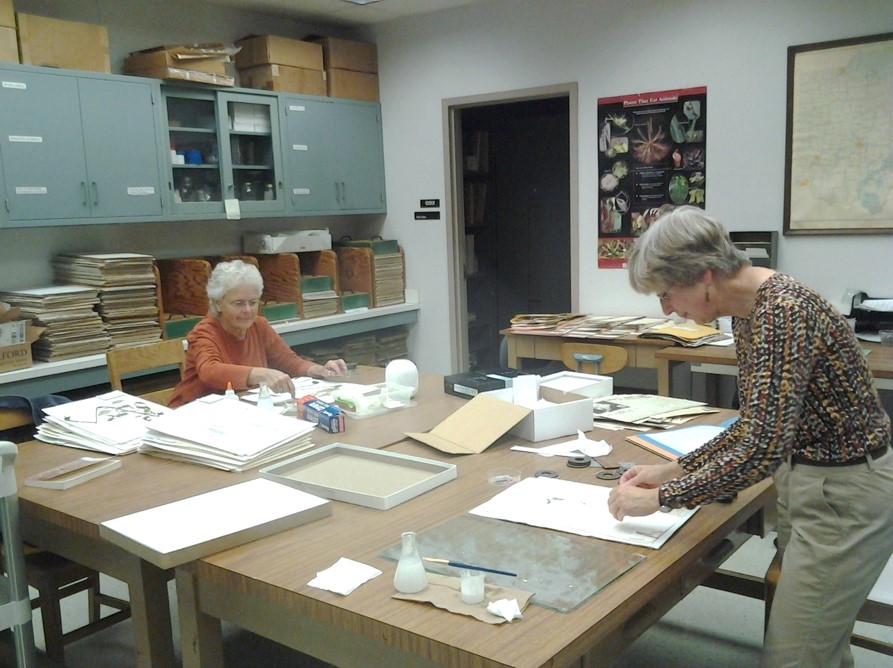 Two of our long-time volunteers working in the herbarium