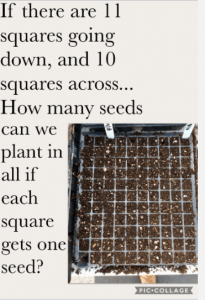 seeds in a matrix of squares