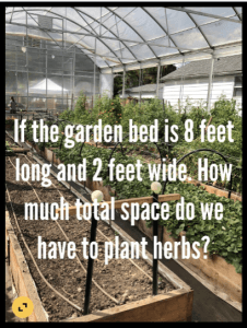 plants in indoor garden