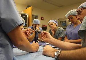 Several Veterinary students standing at a table practicing an external fixator assembly for orthopedic surgery