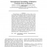 Paper titled Intraskeletal Variability of Relative Cortical Area in Humans.