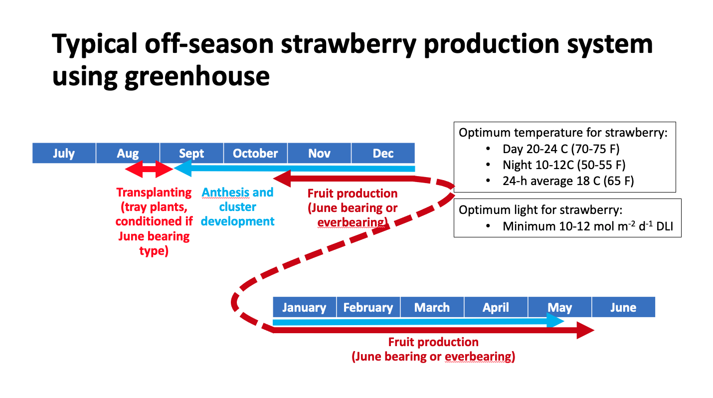 calendar of off-season strawberry production system using greenhouse