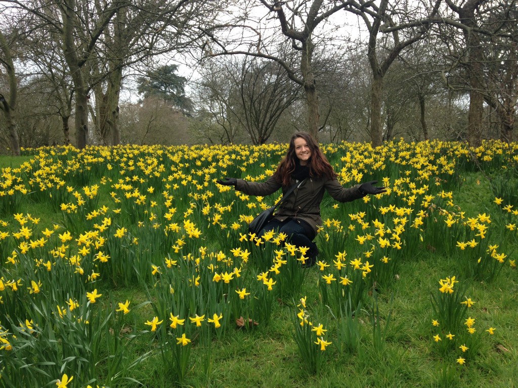 Surrounded by Daffodils