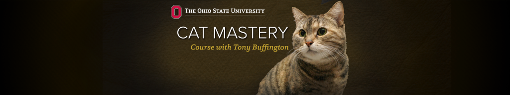 Cat Mastery Banner 1 - Proof