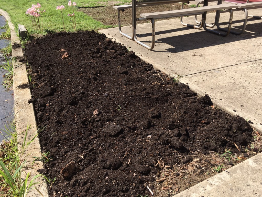 cleared, composted and ready to plant