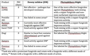 DM Phytoph 2Jul2015