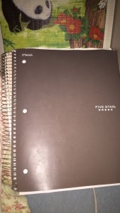 notebook artifact