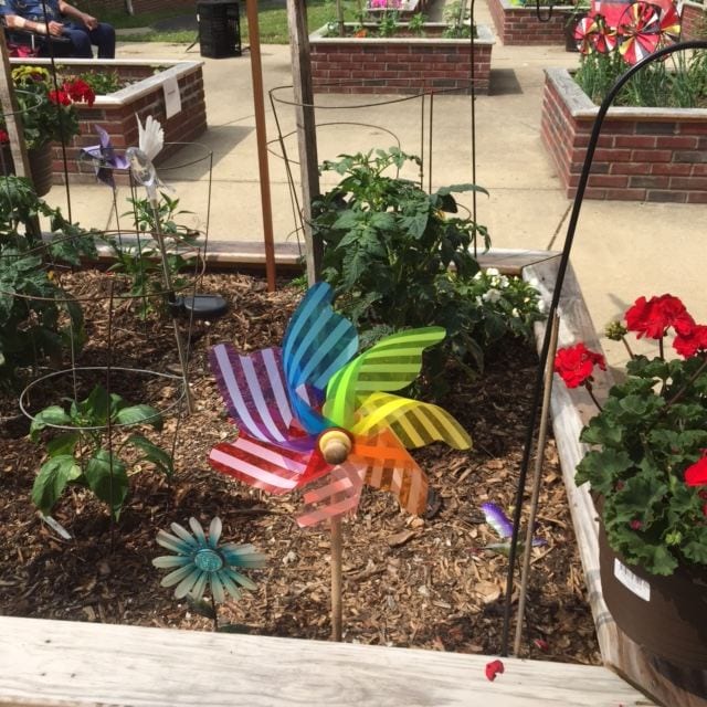 Gardening In 2019 At The Ohio Veterans Home Osu Extension