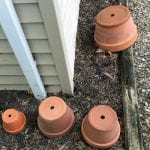 Upside down clay pots left in the backyard over the winter now house spider webs and insect eggs.