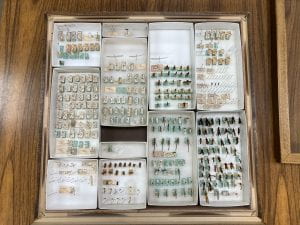 A drawer containing trays in which dry pinned insect specimens are stored.