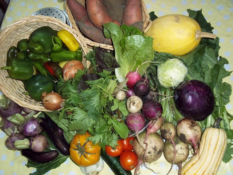 tabletop of fresh summer vegetables