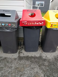 Trash in NZ