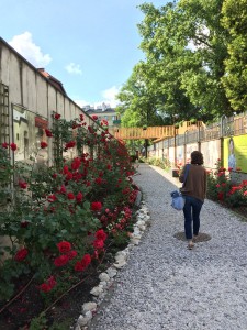 Rose Wall behind the Warsaw Uprising Museum