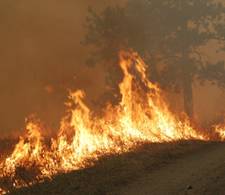 image of wildfire 2