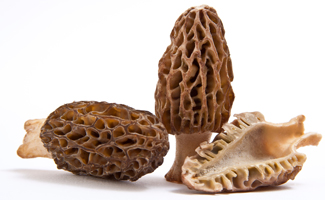 Picture of morel mushrooms