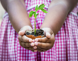 Image of girl holding new green plant_4