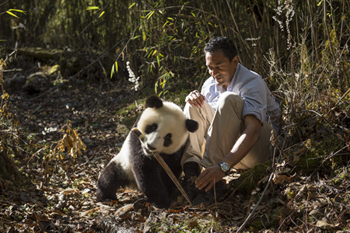 Photo of M Sanjayan and panda 3