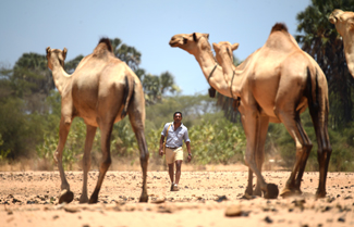 Photo of M. Sanjayan and camels by Ami Vitale