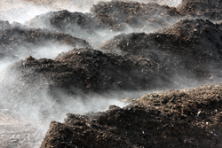 Compost course coming in March
