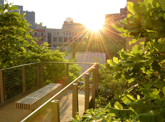 Photo of High Line Park in New York 2