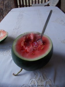 After a hot day in the field, I think an entire watermelon is an acceptable lunch.