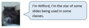 Wilford the Cat: I’m Wilford, I’m the star of some slides being used in some classes.