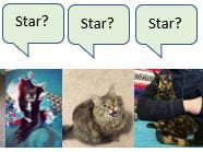 Pets: Star?