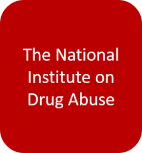 National Institute on Drug Abuse button