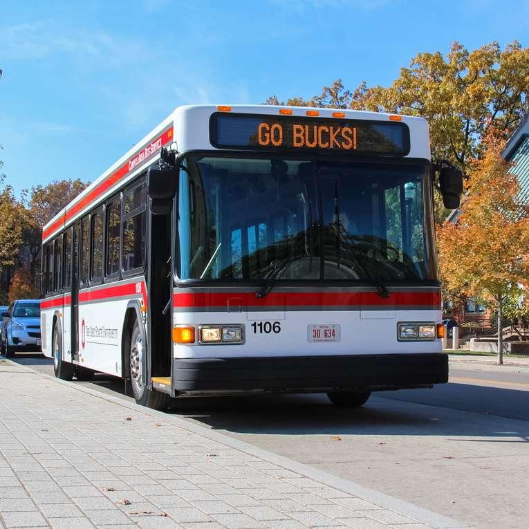 Image of a red and white OSU CABS bus displaying the words GO BUCKS