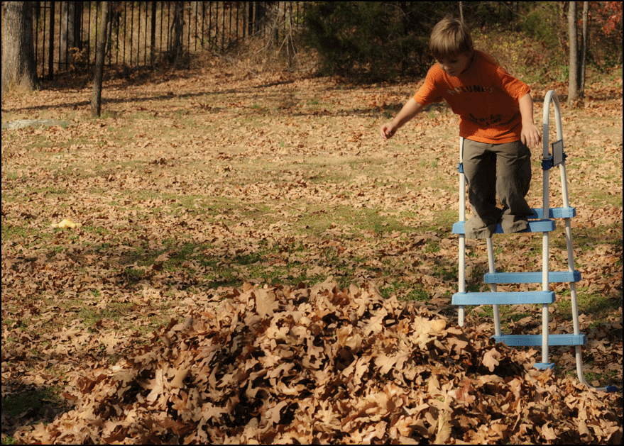 jumping-into-leaves